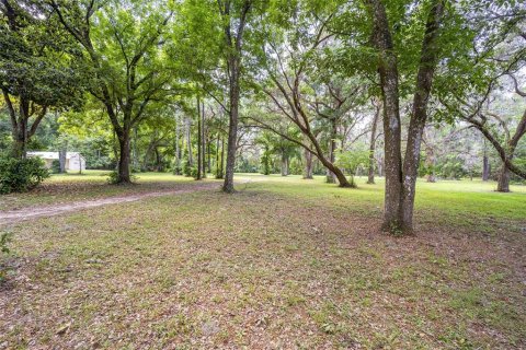 Terrain à vendre à Ocala, Floride № 1167552 - photo 4