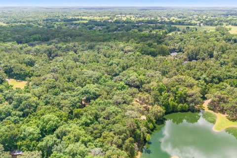 Terrain à vendre à Ocala, Floride № 1167552 - photo 6