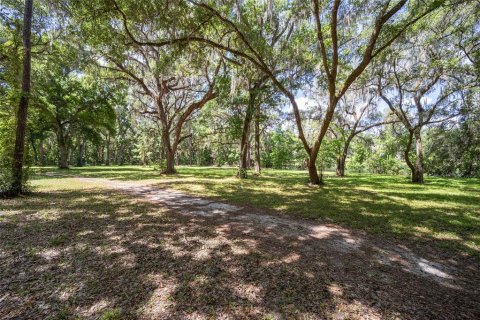 Terrain à vendre à Ocala, Floride № 1167552 - photo 20