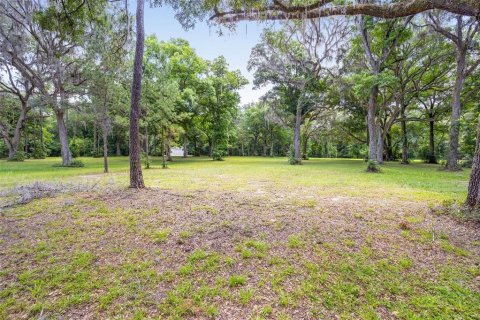 Terreno en venta en Ocala, Florida № 1167552 - foto 29