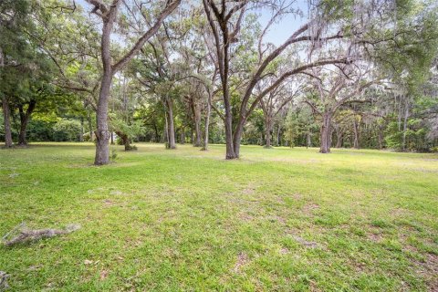 Terrain à vendre à Ocala, Floride № 1167552 - photo 3