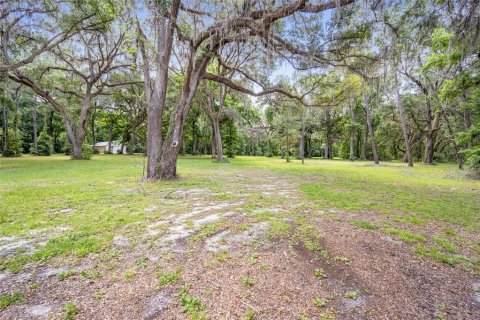 Terrain à vendre à Ocala, Floride № 1167552 - photo 2