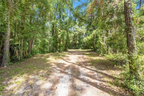 Terrain à vendre à Ocala, Floride № 1167552 - photo 24