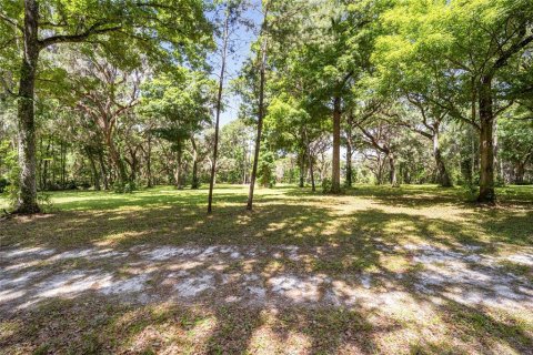 Land in Ocala, Florida № 1167552 - photo 23