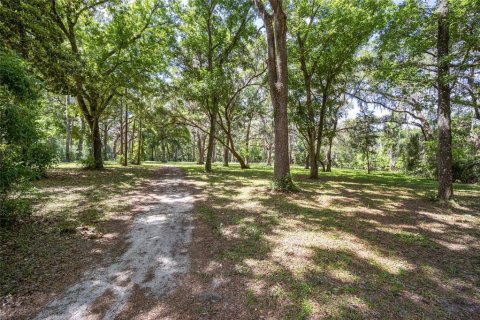 Terreno en venta en Ocala, Florida № 1167552 - foto 18