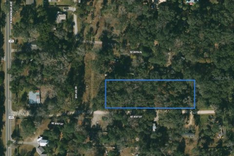 Terreno en venta en Ocala, Florida № 1376092 - foto 1