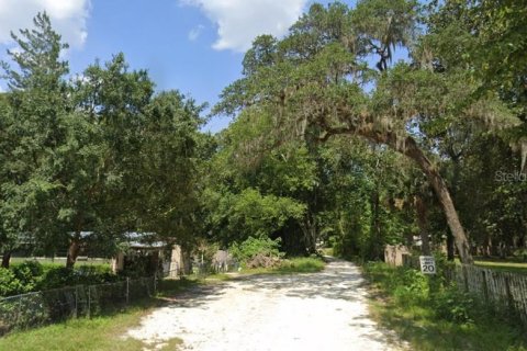 Terrain à vendre à Ocala, Floride № 1376092 - photo 4