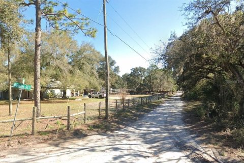 Terreno en venta en Brooksville, Florida № 1248518 - foto 2