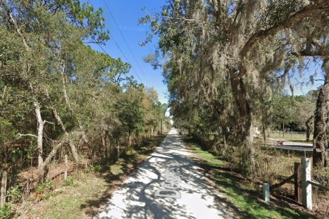 Terrain à vendre à Brooksville, Floride № 1248518 - photo 6