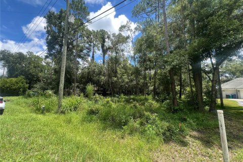 Terreno en venta en Wesley Chapel, Florida № 1297547 - foto 1