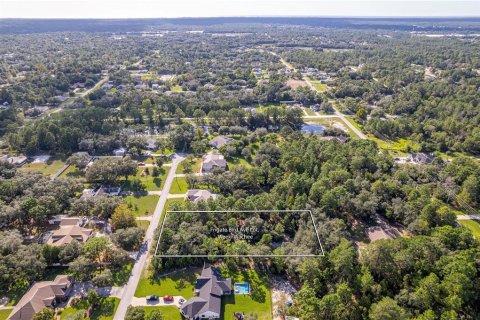 Land in Weeki Wachee, Florida № 1378036 - photo 15