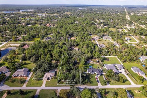 Land in Weeki Wachee, Florida № 1378036 - photo 1