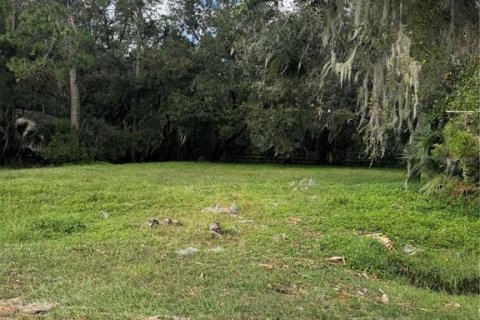 Terreno en venta en Deltona, Florida № 1429492 - foto 10