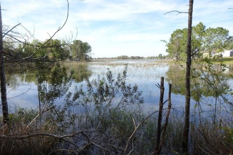 Land in Deltona, Florida № 1065962 - photo 1