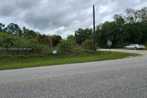 Terreno en venta en Clewiston, Florida № 1402967 - foto 3