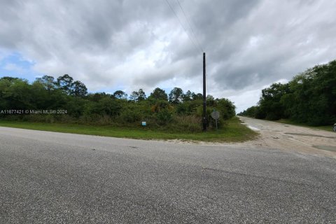 Terreno en venta en Clewiston, Florida № 1402967 - foto 4