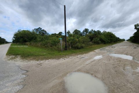 Terreno en venta en Clewiston, Florida № 1402967 - foto 6