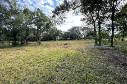 Terreno en venta en Clewiston, Florida № 1294131 - foto 13