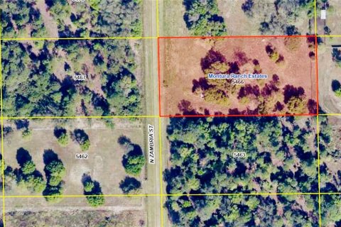 Land in Clewiston, Florida № 1294131 - photo 7