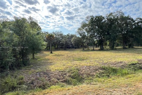 Land in Clewiston, Florida № 1294131 - photo 12