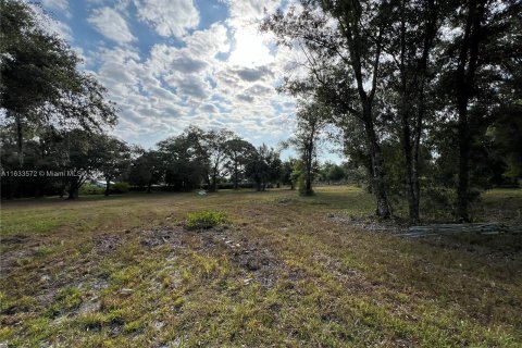 Terreno en venta en Clewiston, Florida № 1294131 - foto 14