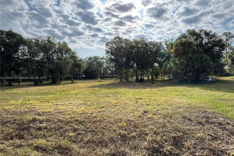 Land in Clewiston, Florida № 1294131 - photo 10