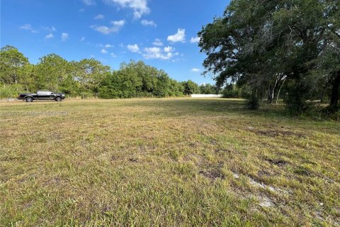 Terreno en venta en Clewiston, Florida № 1294131 - foto 6