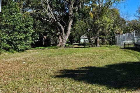 Terrain à vendre à Lakeland, Floride № 1027480 - photo 5