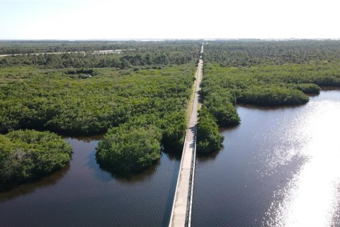 Land in Placida, Florida № 1341134 - photo 11