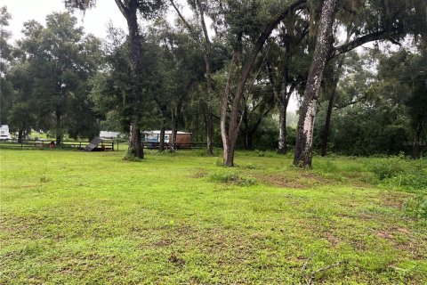 Terreno en venta en Dade City, Florida № 1308873 - foto 2