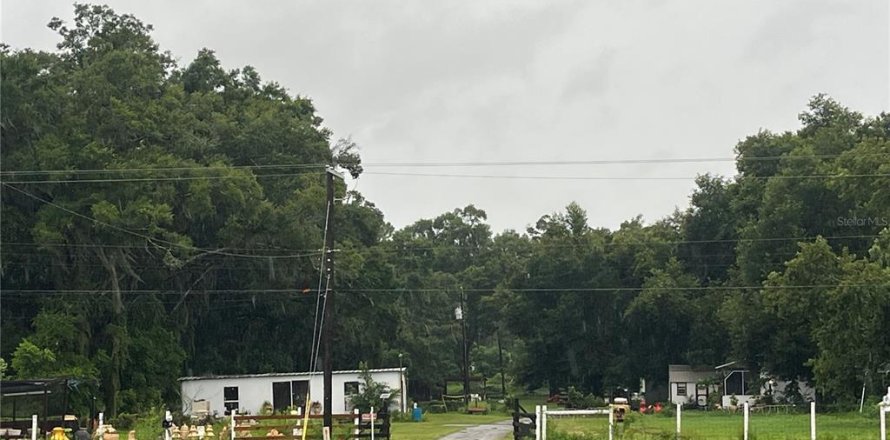 Terrain à Dade City, Floride № 1308873