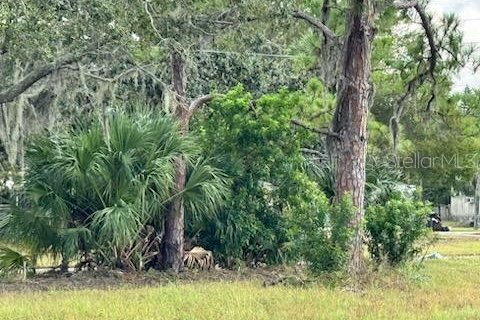 Land in New Port Richey, Florida № 1394476 - photo 5