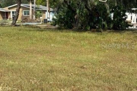 Land in New Port Richey, Florida № 1394476 - photo 2