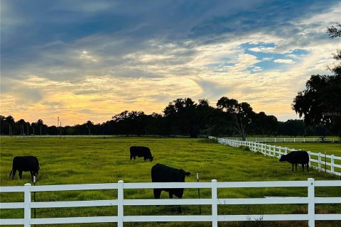 Land in Webster, Florida № 1377863 - photo 29