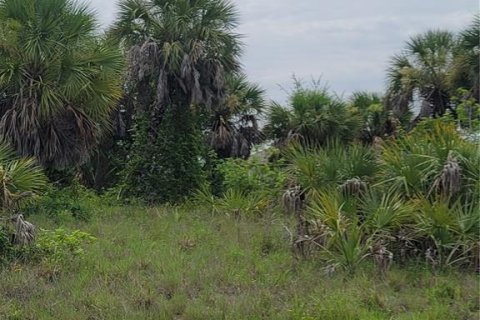 Land in Port Charlotte, Florida № 1278671 - photo 2