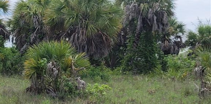 Terrain à Port Charlotte, Floride № 1278671