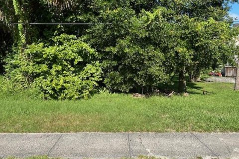 Land in DeLand, Florida № 1306640 - photo 1