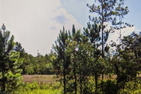 Land in Polk City, Florida № 1376084 - photo 3