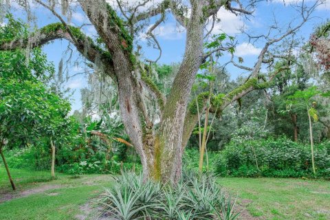 House in Plant City, Florida 2 bedrooms, 140.47 sq.m. № 1376087 - photo 28