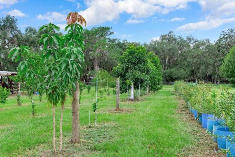 House in Plant City, Florida 2 bedrooms, 140.47 sq.m. № 1376087 - photo 6