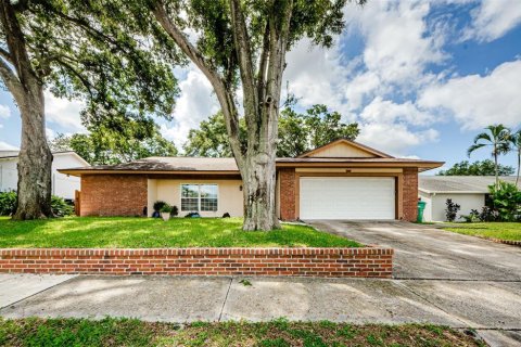 House in Palm Harbor, Florida 3 bedrooms, 176.51 sq.m. № 1376081 - photo 1