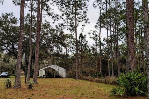 Land in Polk City, Florida № 1376085 - photo 4