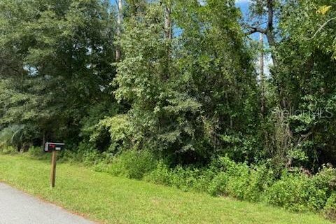 Land in Dunnellon, Florida № 1370082 - photo 3