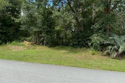 Terreno en venta en Dunnellon, Florida № 1370082 - foto 4