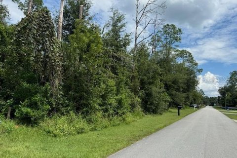 Land in Dunnellon, Florida № 1370082 - photo 2