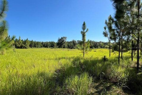 Terreno en venta en High Springs, Florida № 1370122 - foto 10