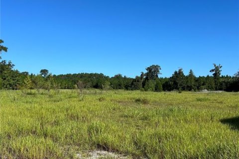 Land in High Springs, Florida № 1370122 - photo 13