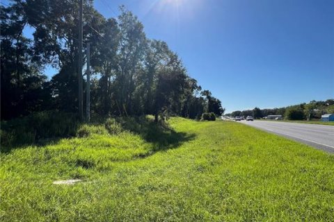 Terreno en venta en High Springs, Florida № 1370122 - foto 8