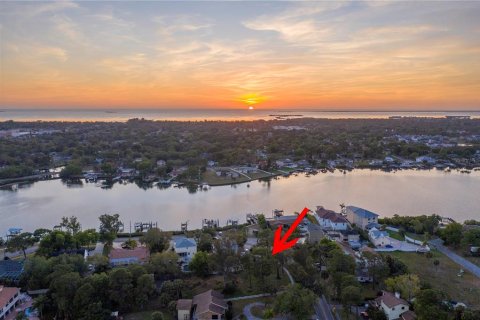 Terreno en venta en Tarpon Springs, Florida № 1346534 - foto 20