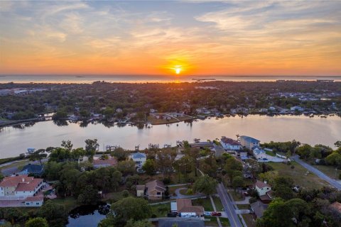 Terreno en venta en Tarpon Springs, Florida № 1346534 - foto 8